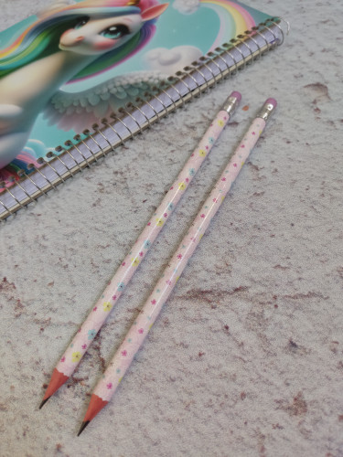 مداد سیاه پاکن دار طرح گلگلی