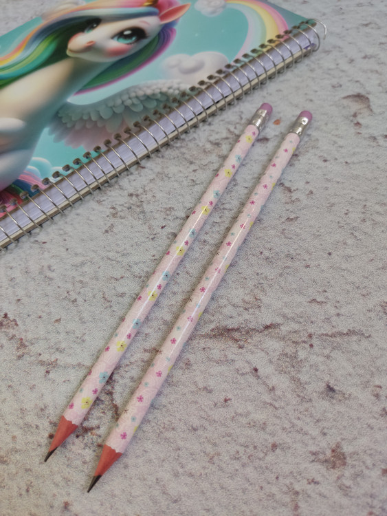 مداد سیاه پاکن دار طرح گلگلی