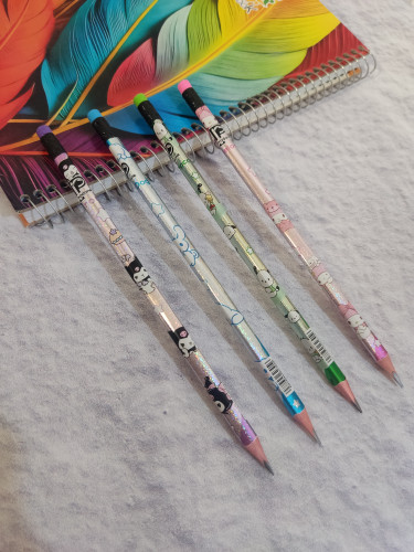 مداد پاکن دار ۳گوش کرومی